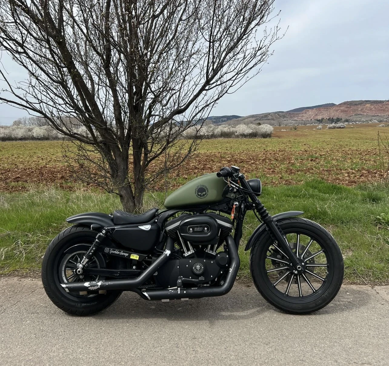 Harley-Davidson Sportster 883, снимка 15 - Мотоциклети и мототехника - 54733799