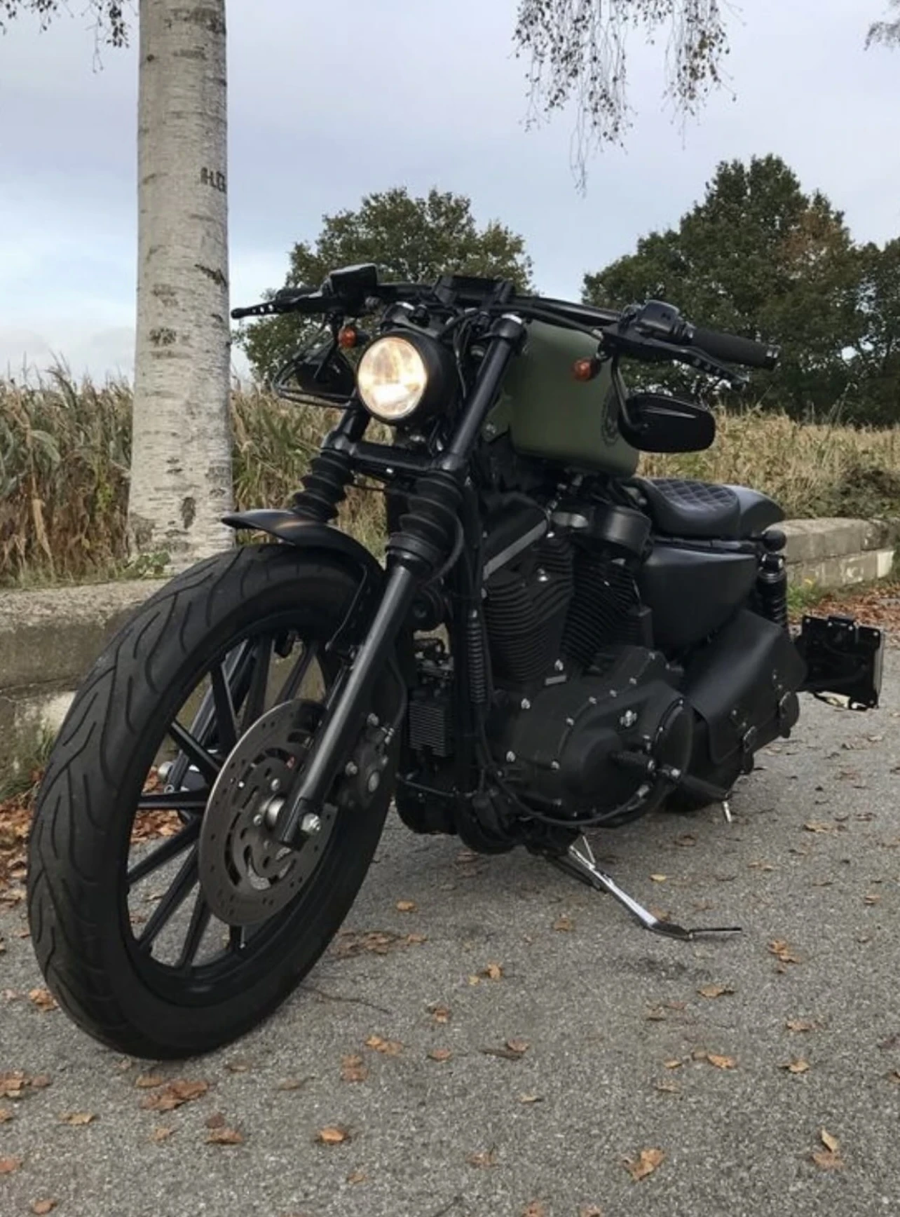 Harley-Davidson Sportster 883, снимка 14 - Мотоциклети и мототехника - 54733799