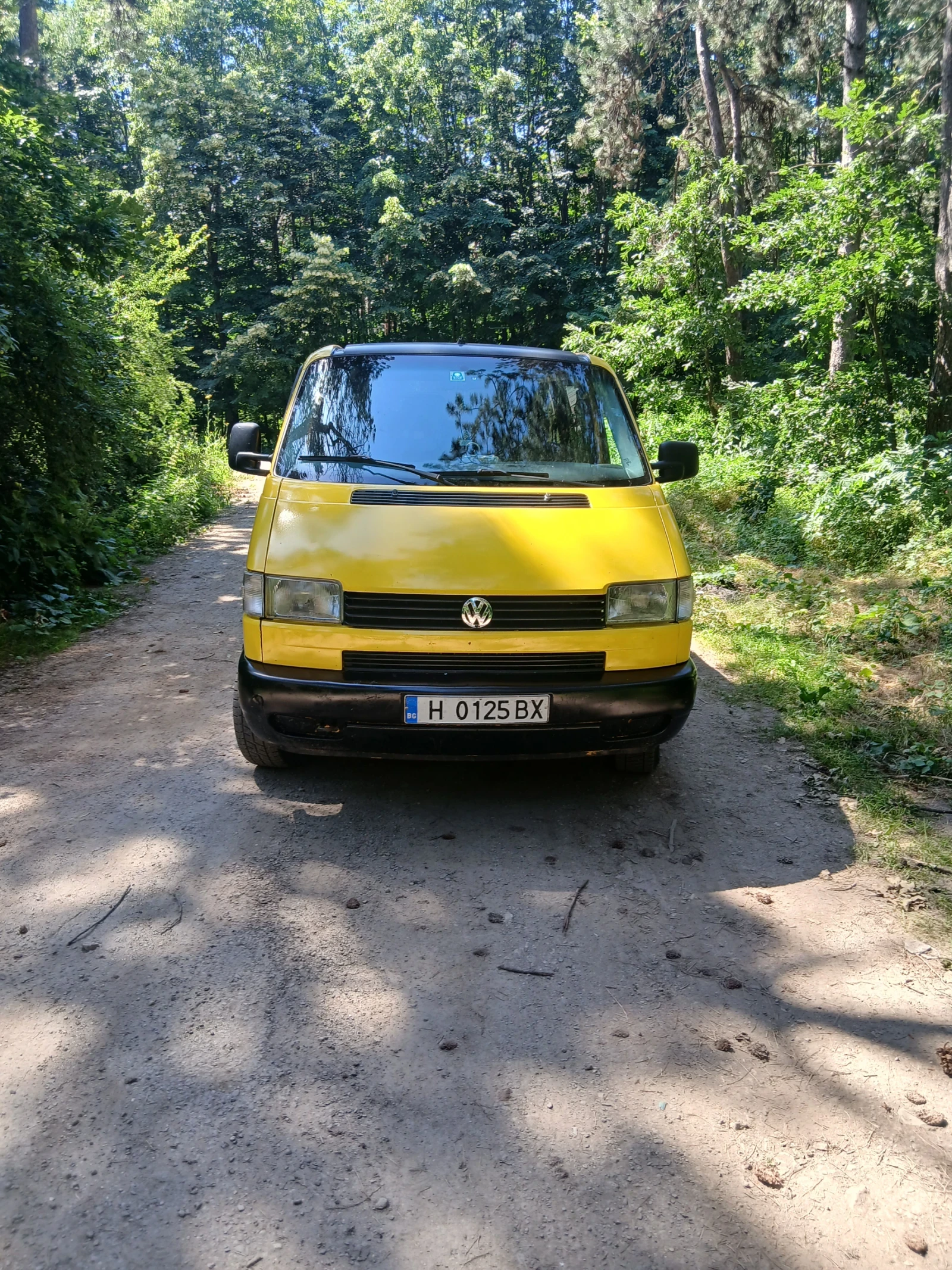 VW T4, снимка 2 - Бусове и автобуси - 55872854