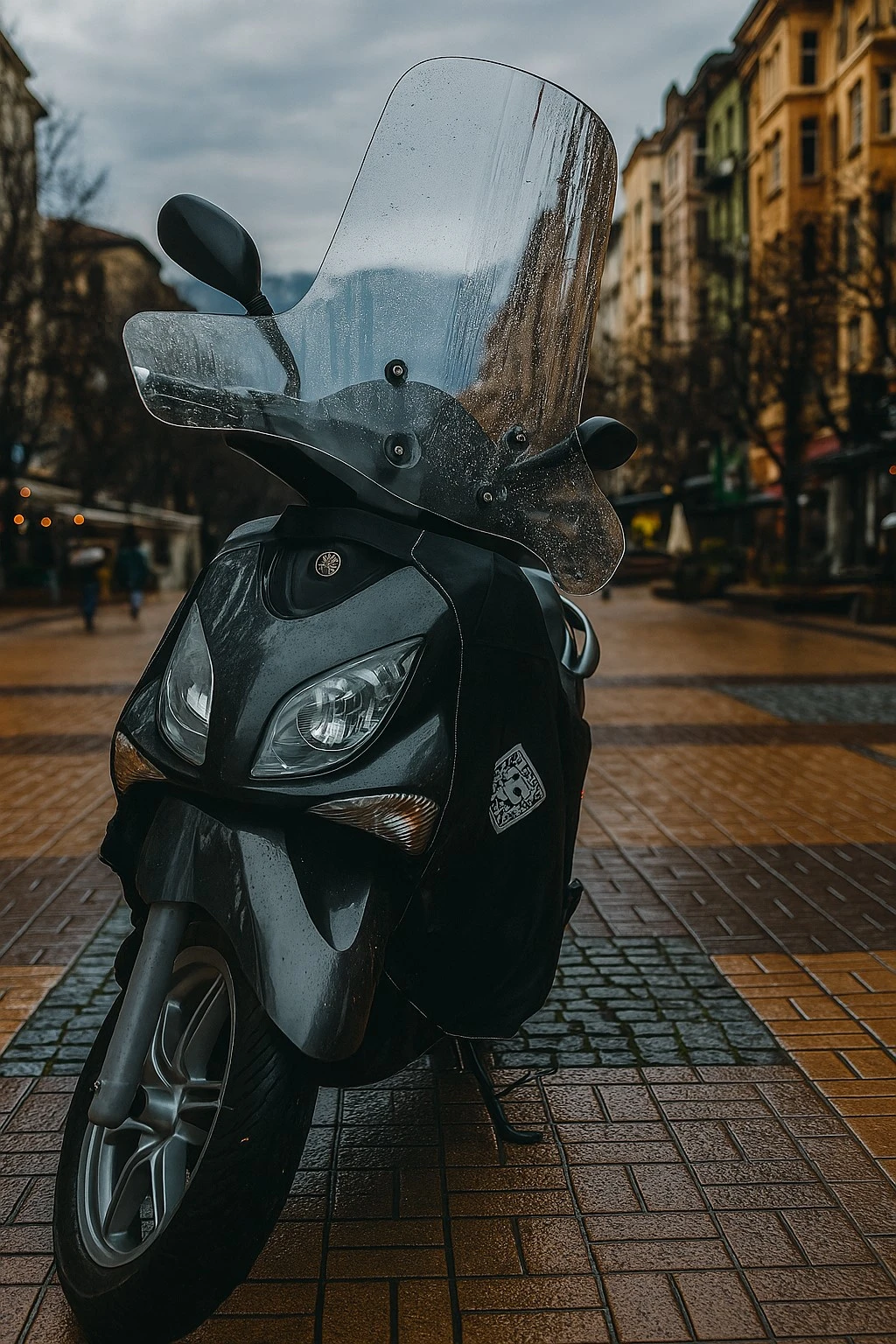 Yamaha X-City VP250 - изображение 5