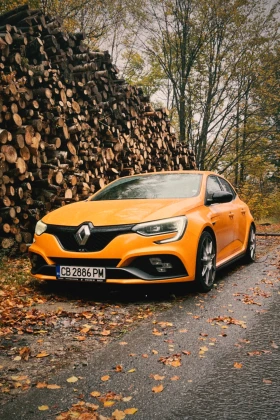 Renault Megane RS 280 - 48500 лв. - 14625493 4