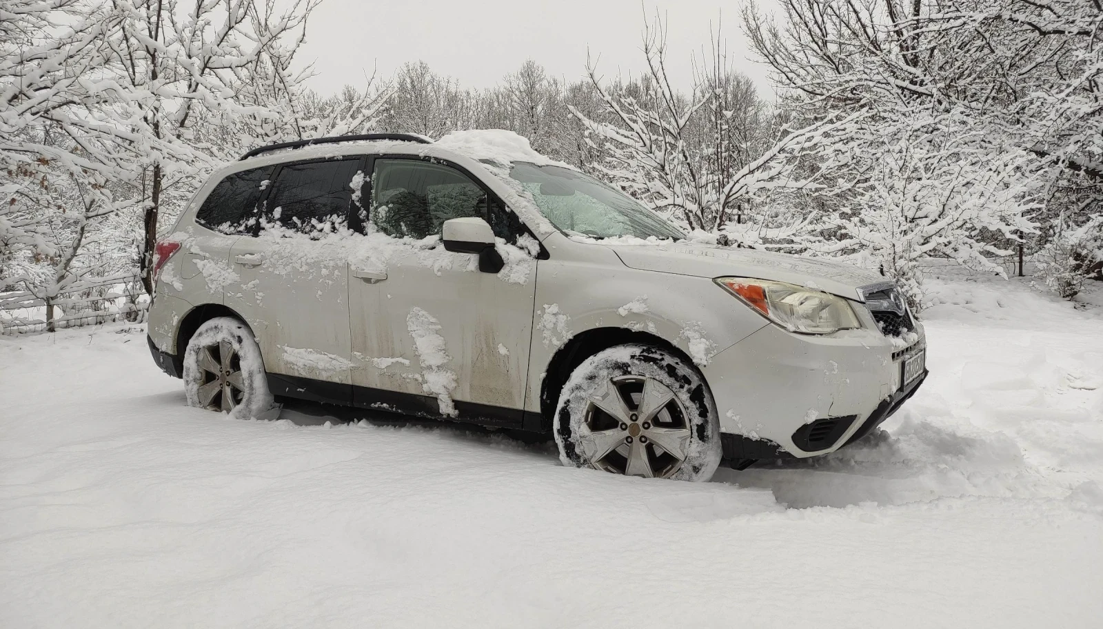 Subaru Forester Premium 2.5i   | Mobile.bg   13