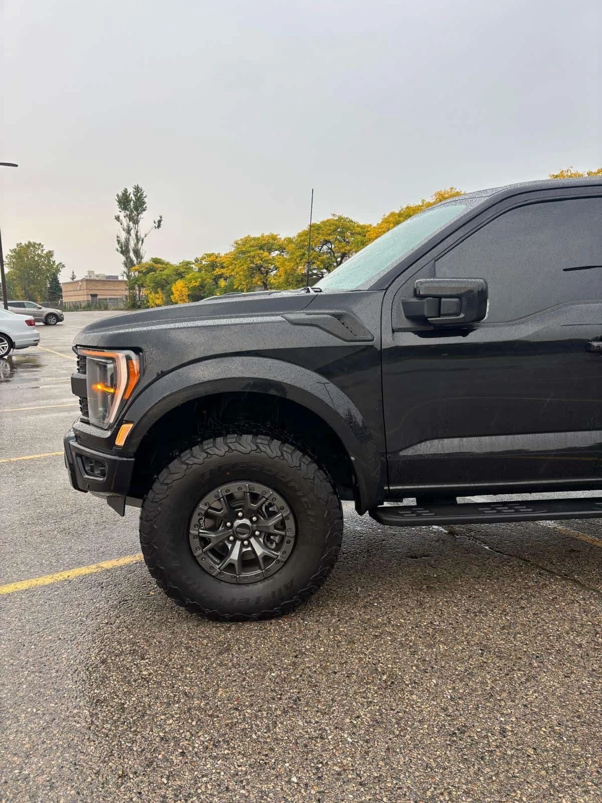 Ford F150 * Raptor * CARFAX * ����� �� ����������� | Mobile.bg � ����������� 10