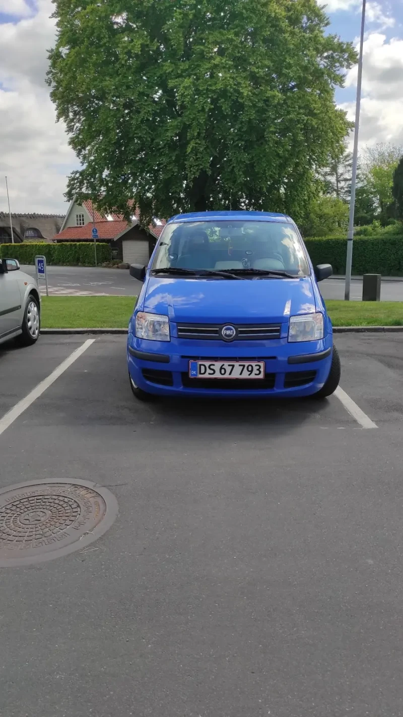 Fiat Panda 1.2, снимка 2 - Автомобили и джипове - 50901883