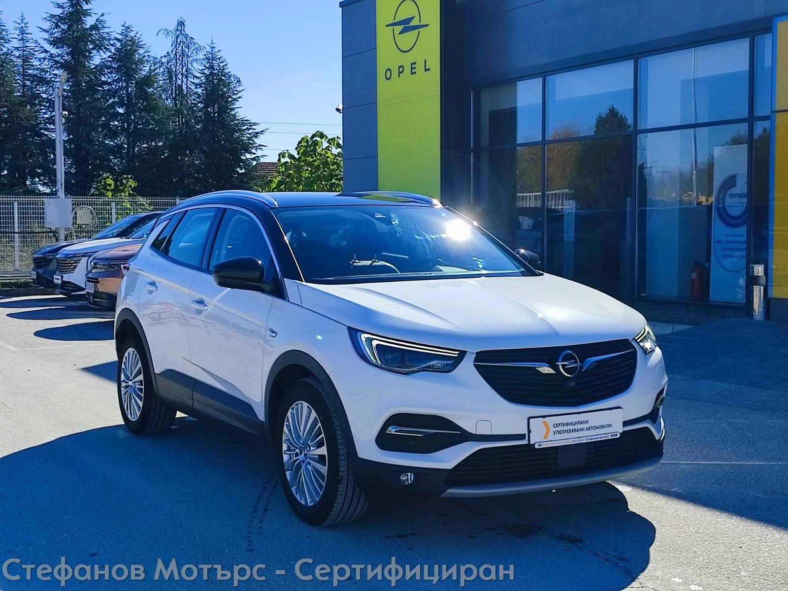 Opel Grandland X Business Innovation 1.5D (130hp) AT8 | Mobile.bg   3