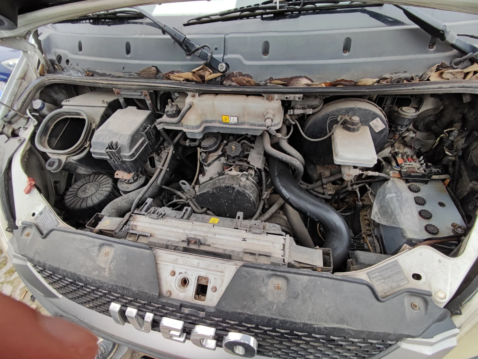 Iveco Daily  - изображение 9