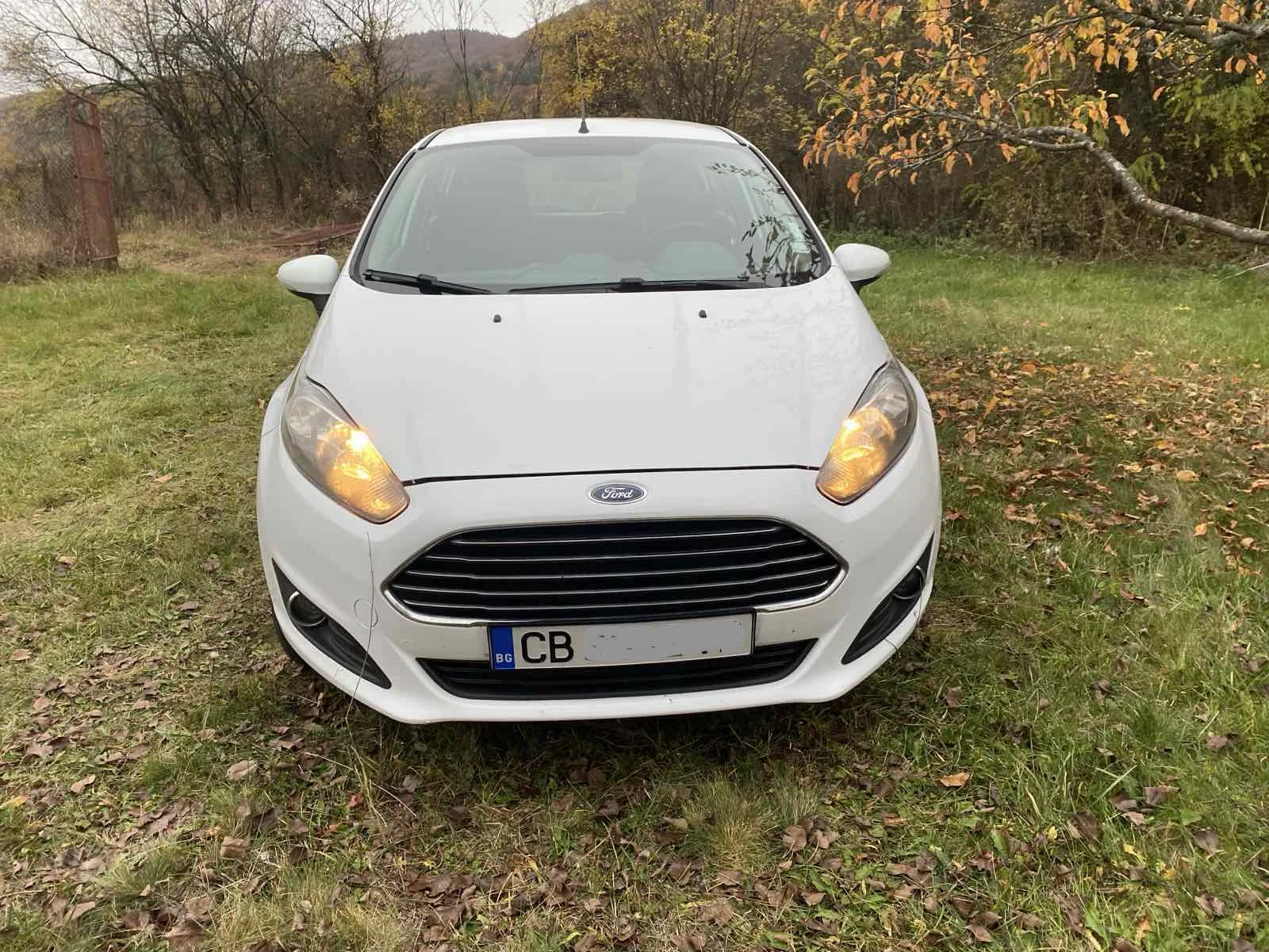 Ford Fiesta от Мото Пфое - изображение 2