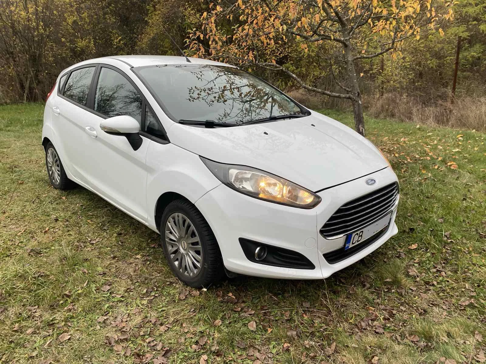 Ford Fiesta от Мото Пфое - [1] 