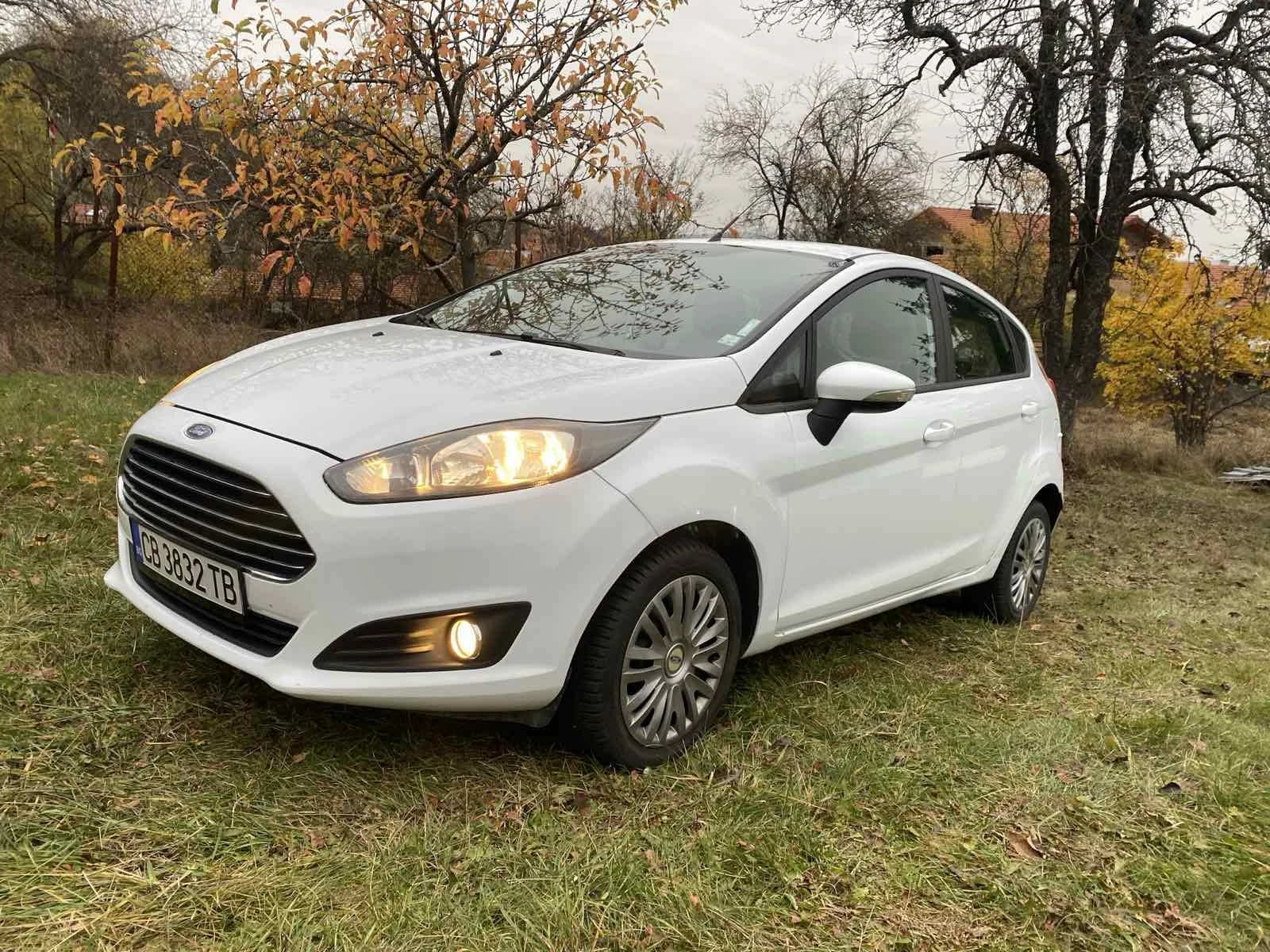 Ford Fiesta от Мото Пфое - изображение 3