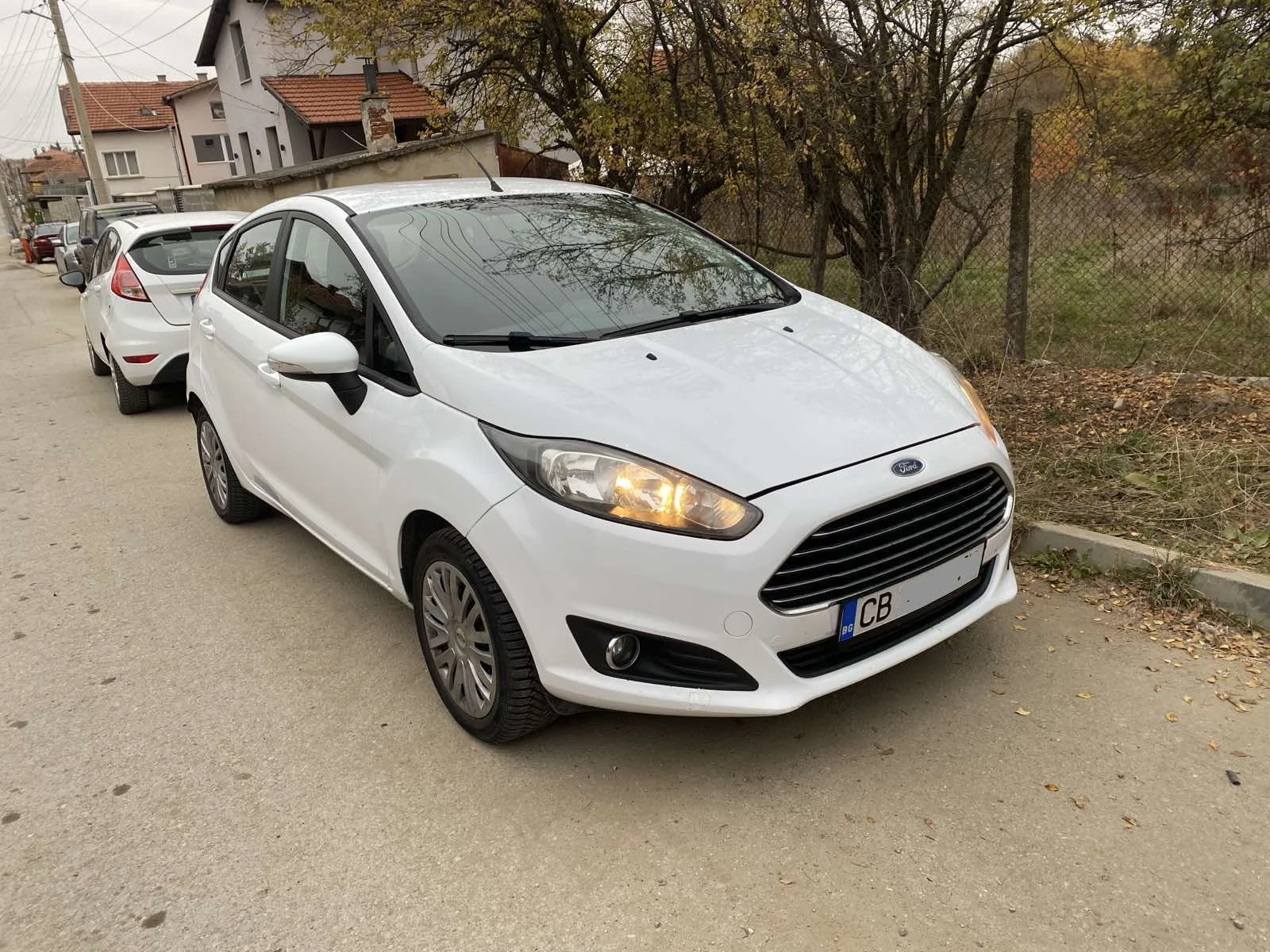 Ford Fiesta от Мото Пфое - изображение 7