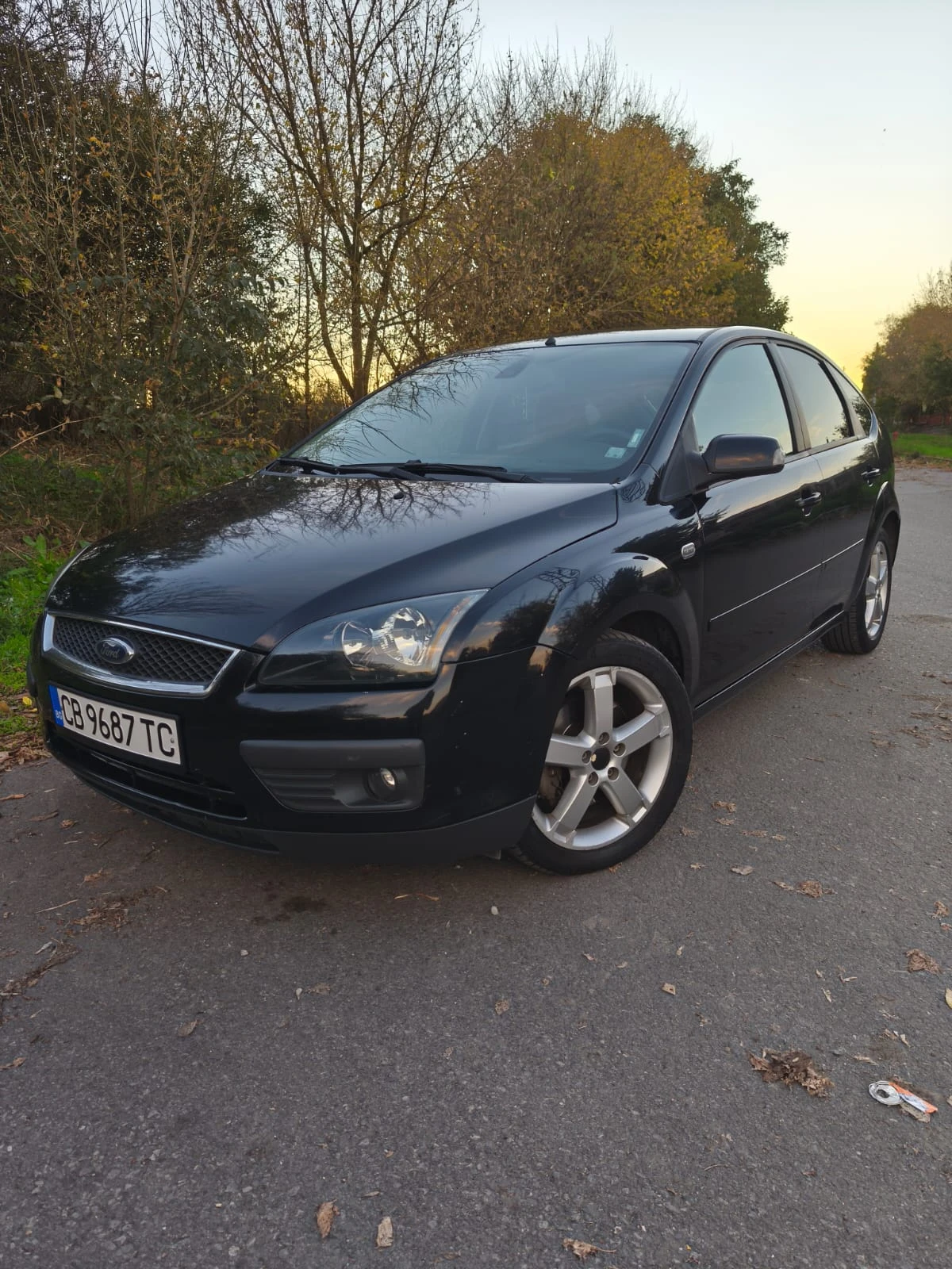 Ford Focus 1.8 TDCI Titanium Edition - изображение 2