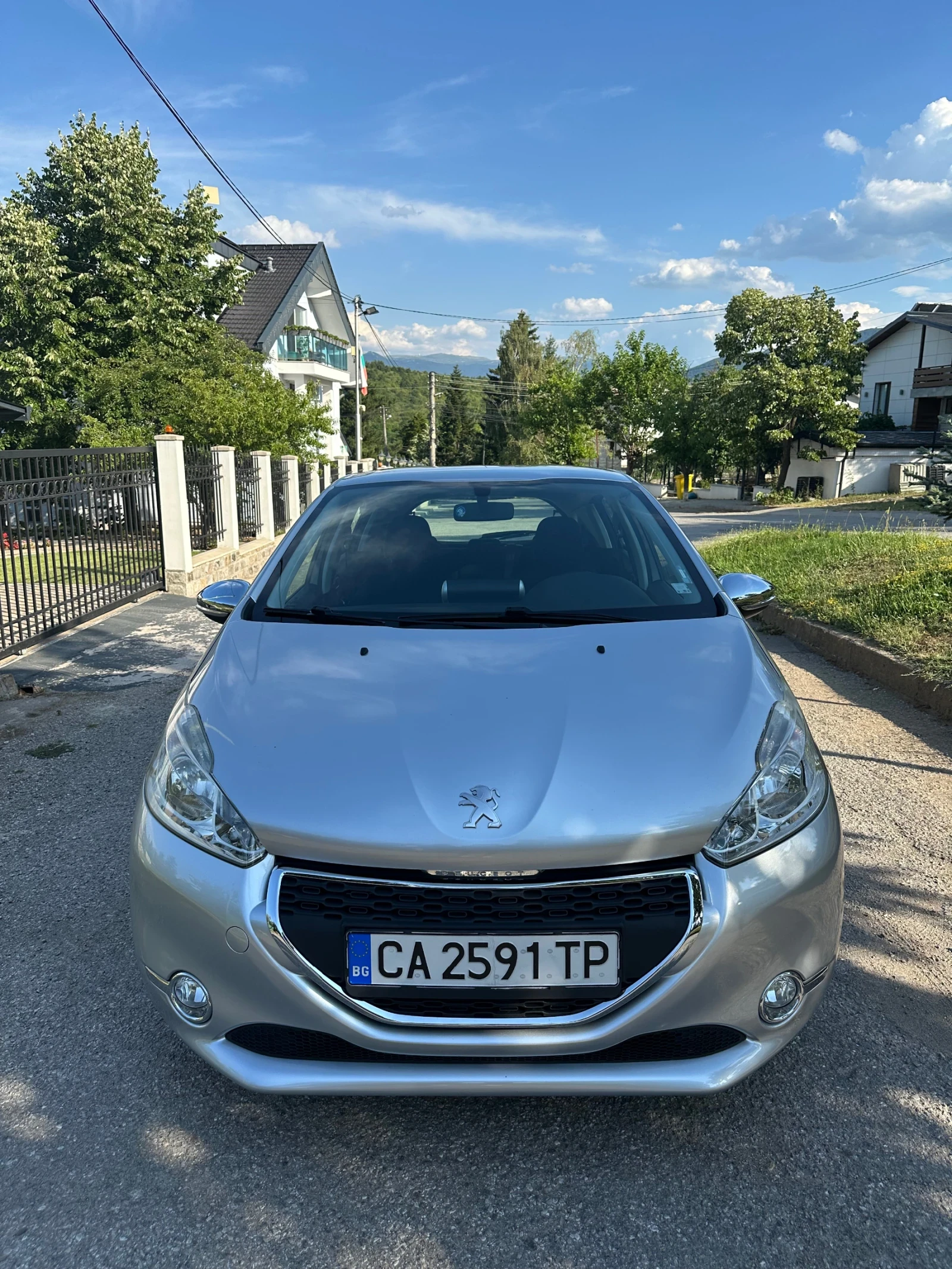 Peugeot 208 NAVI - изображение 2