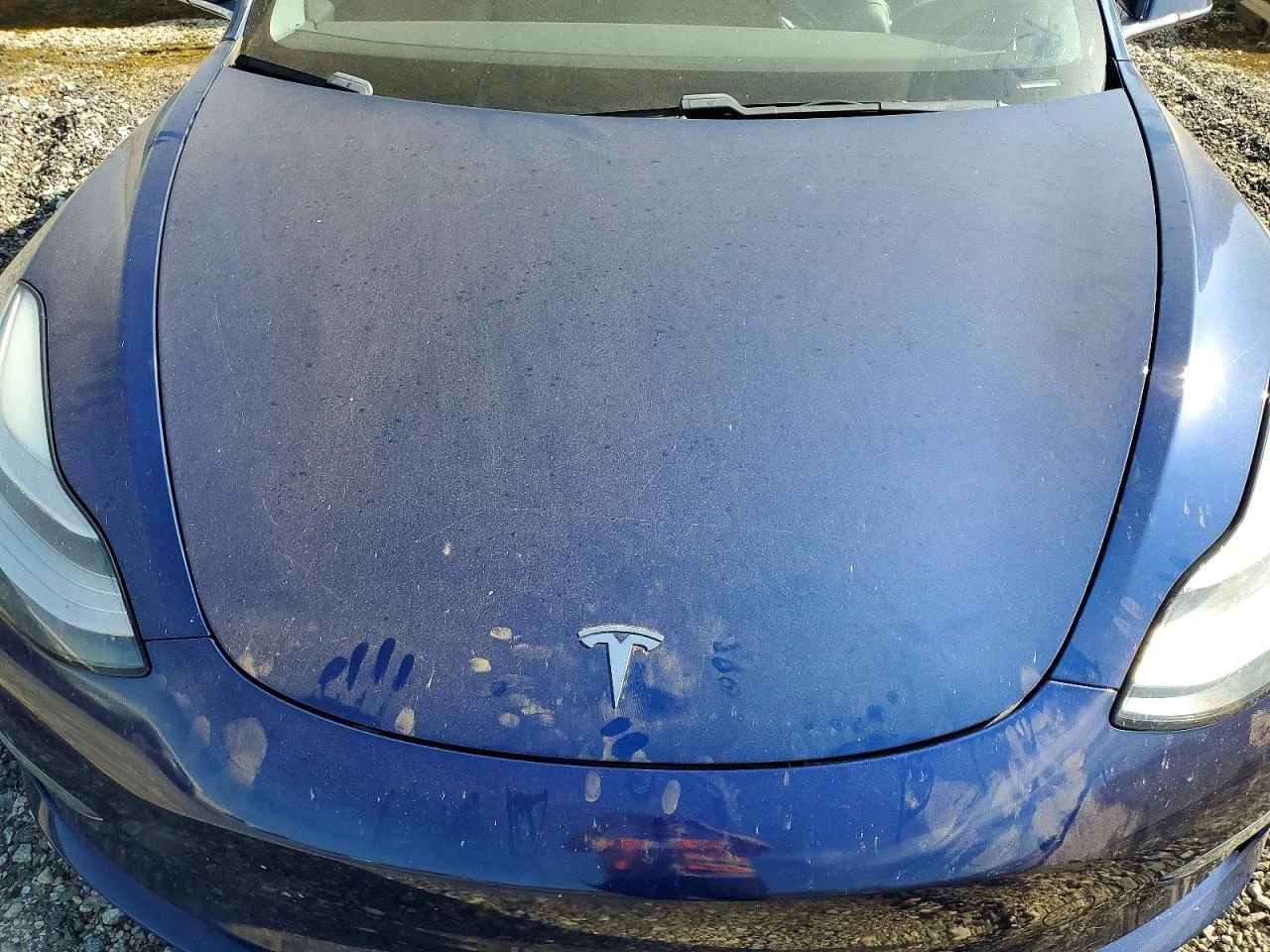 Tesla Model 3, снимка 11 - Автомобили и джипове - 54395813
