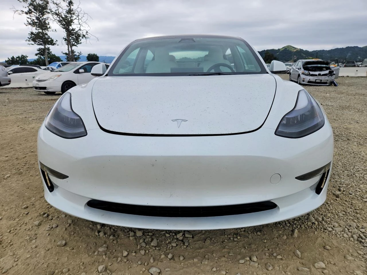 Tesla Model 3, снимка 5 - Автомобили и джипове - 54624043
