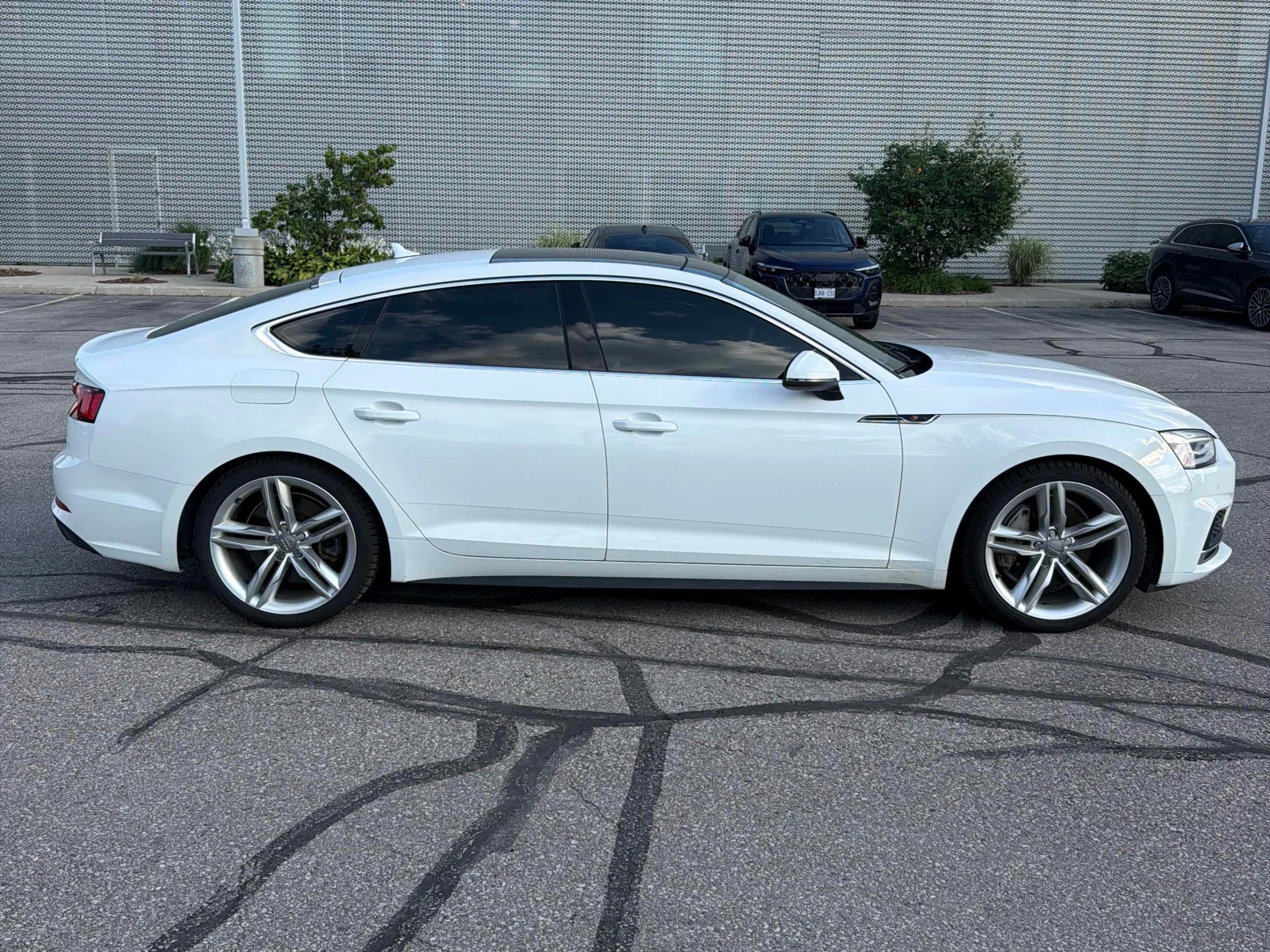Audi A5 * Progressiv * CARFAX * ОПЦИЯ ЗА ФИНАНСИРАНЕ, снимка 3 - Автомобили и джипове - 55920340