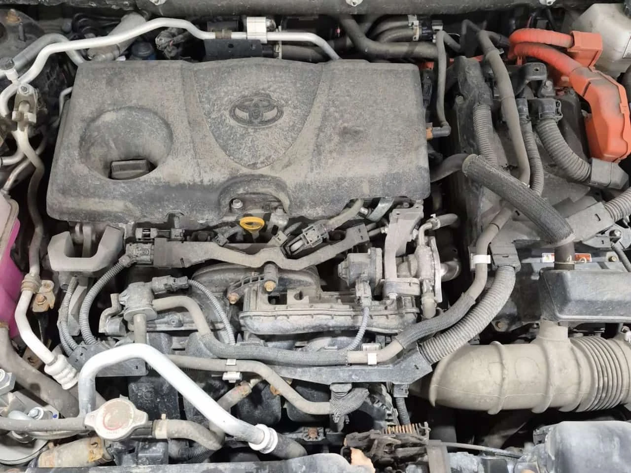 Toyota Rav4 * XSE * CARFAX * ЦЕНА ДО БГ, снимка 16 - Автомобили и джипове - 54252206