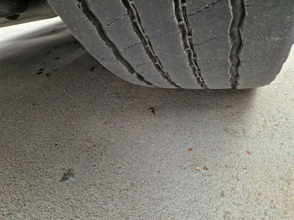 Scania R 450 Highline Varios Smart 2 Tachograph | Mobile.bg � ����������� 13