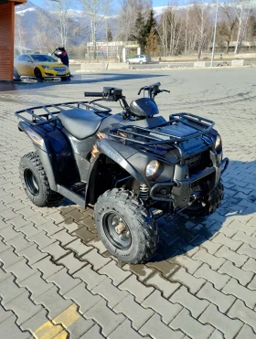 Kawasaki Brute Force 300кб, снимка 8