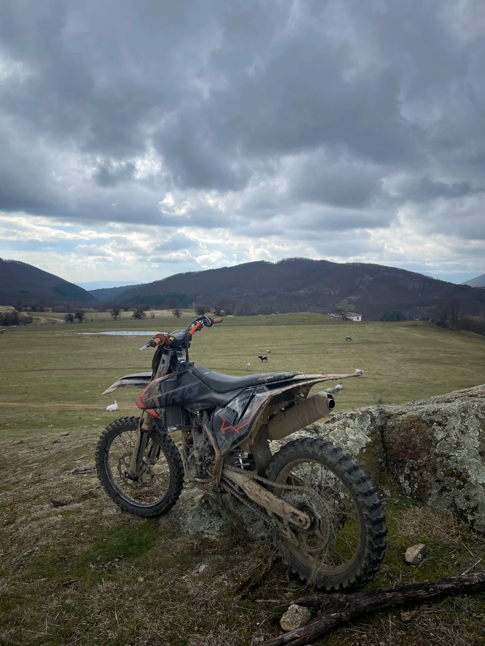 Ktm SX-F  - изображение 3