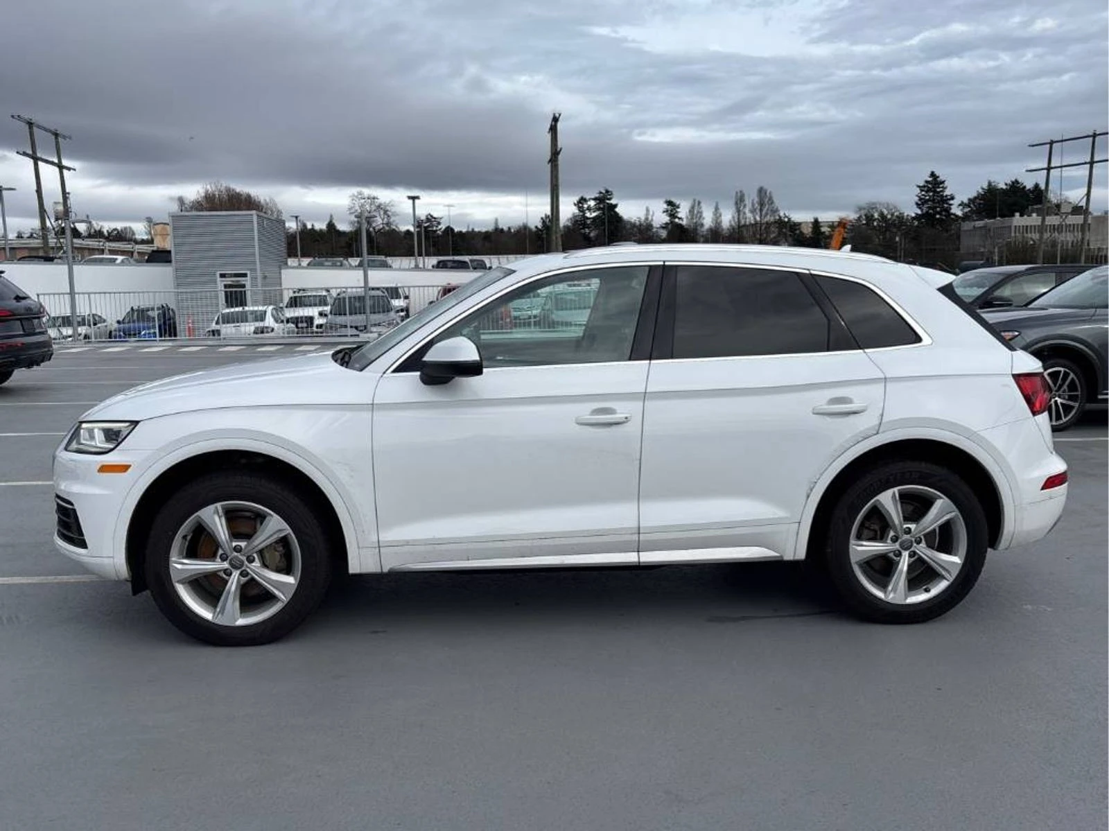 Audi Q5 Progressiv � ����������� & ���� ������ | Mobile.bg � ����������� 4