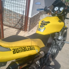 Honda Hornet CB600 | Mobile.bg    3
