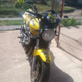     Honda Hornet CB600