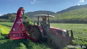 Друг вид Внос КИР, снимка 1