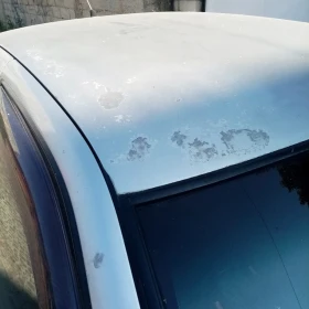 Nissan Primera P11 | Mobile.bg    15