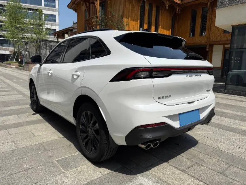 DONGFENG T5-EVO 1.5T 197HP, снимка 8 - Автомобили и джипове - 56726895