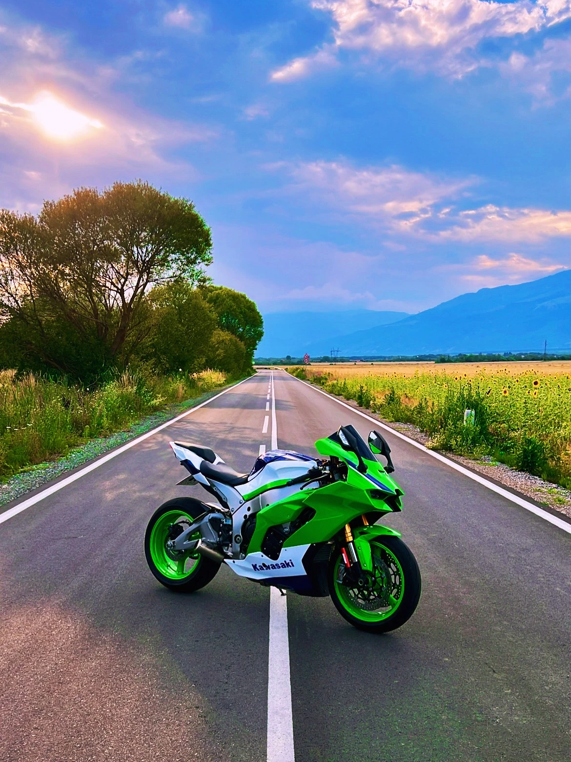 Kawasaki Ninja ZX10RR Anniversary Limited Edition