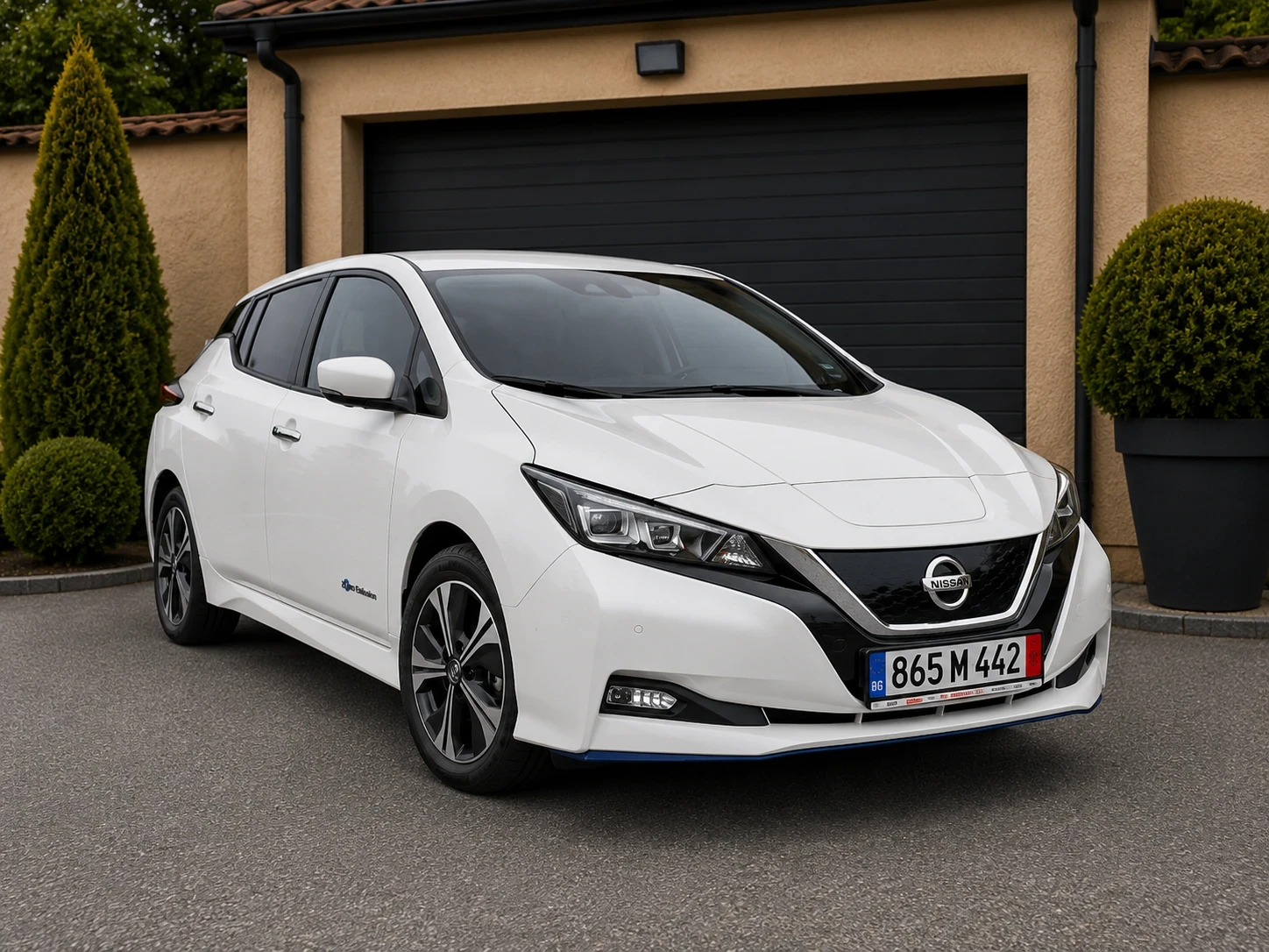 Nissan Leaf  64Wh BOSSE KAMERA 360