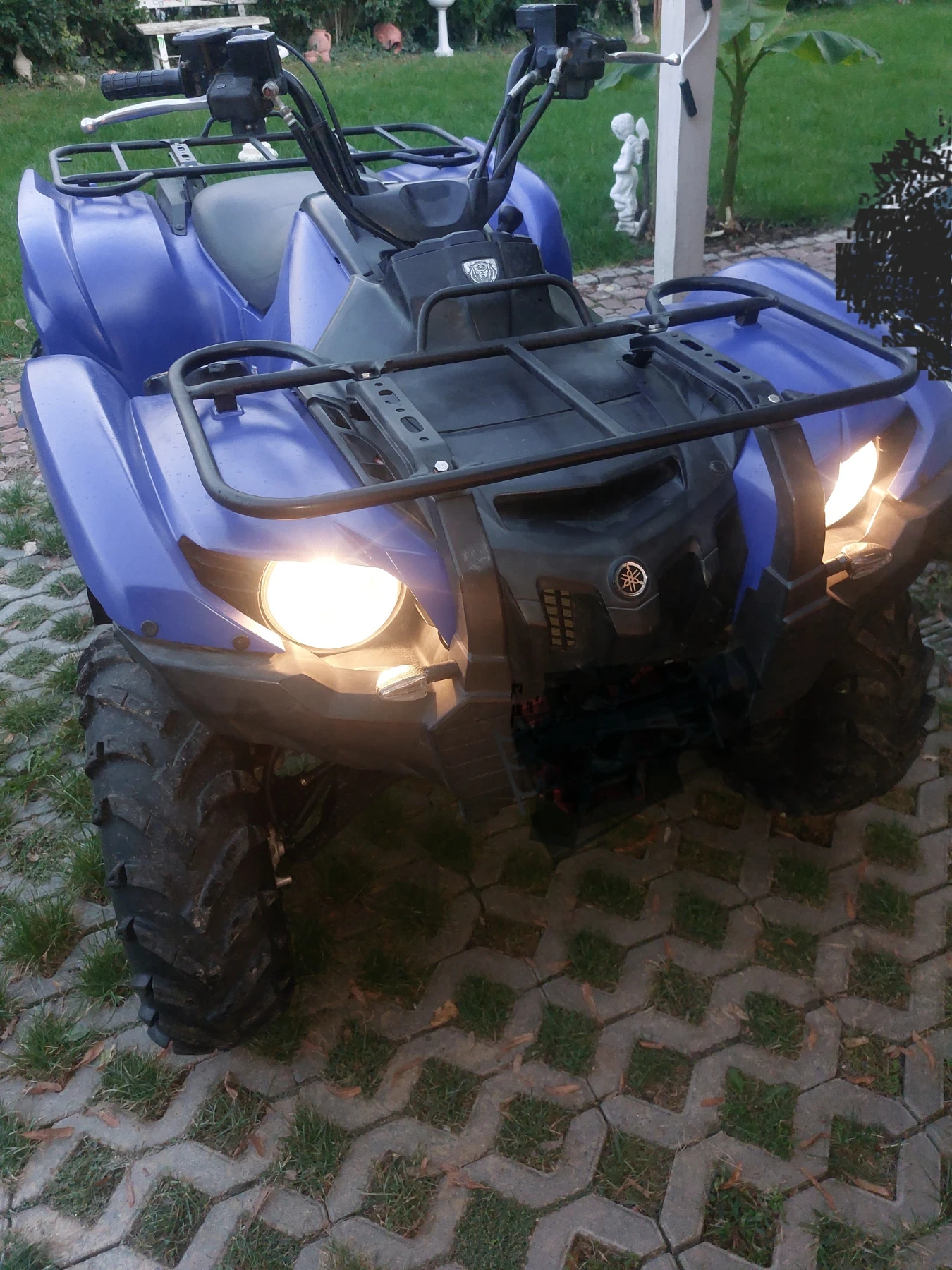 Yamaha Grizzly 700 - изображение 5