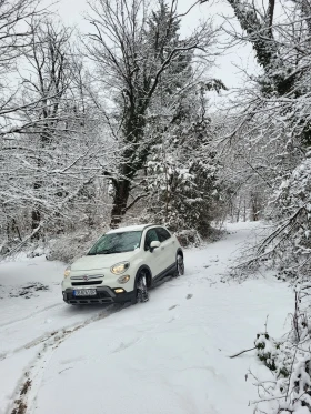 Fiat 500X Cross | Mobile.bg    9