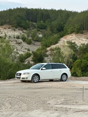 Audi A4 A4 B7 2.5tdi, снимка 8