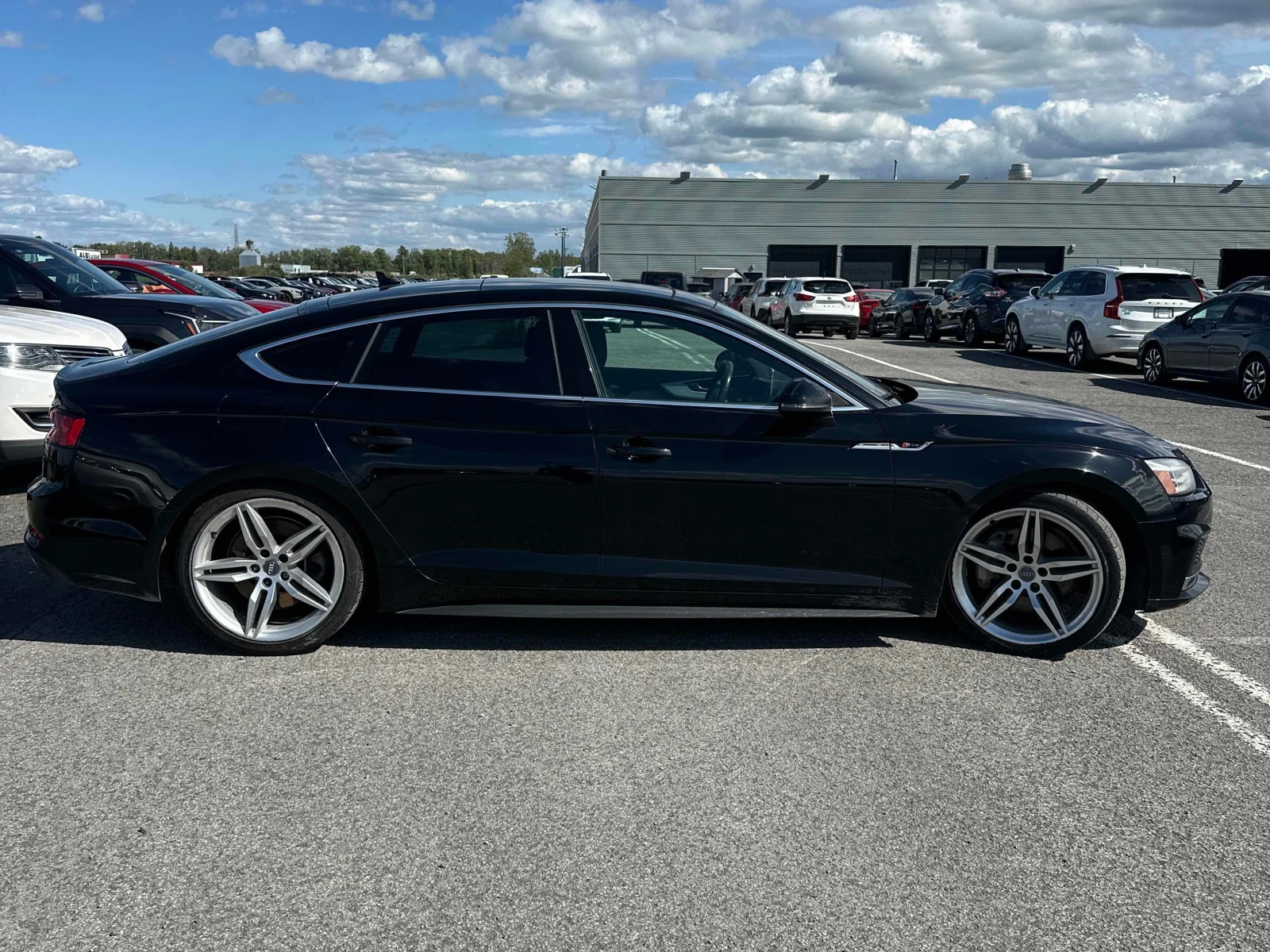 Audi A5 * PROGRESSIV * АВТОКРЕДИТ БЕЗ ПЪРВОНАЧАЛНА ВНОСКА, снимка 4 - Автомобили и джипове - 56025775