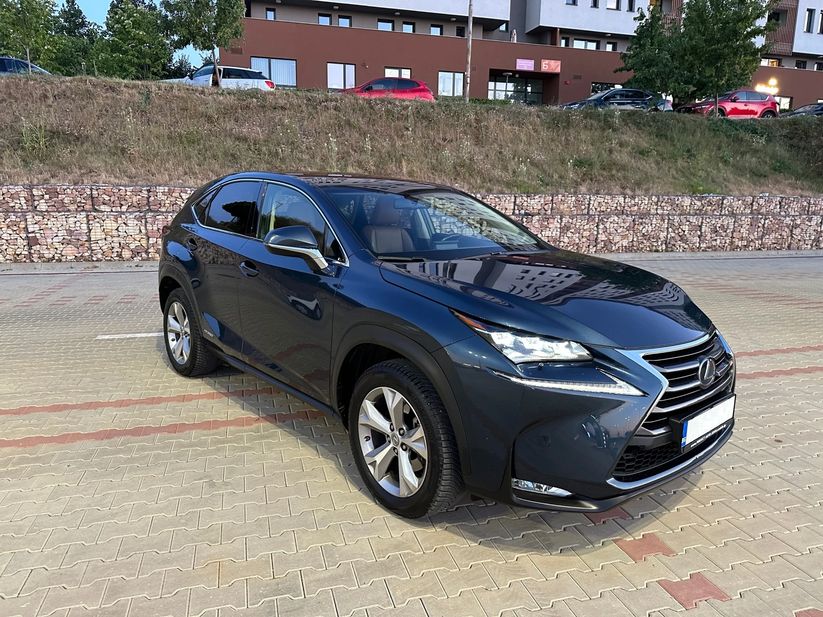 Lexus NX 300h 2.5 LUXURY HYBRID4X4 - изображение 5