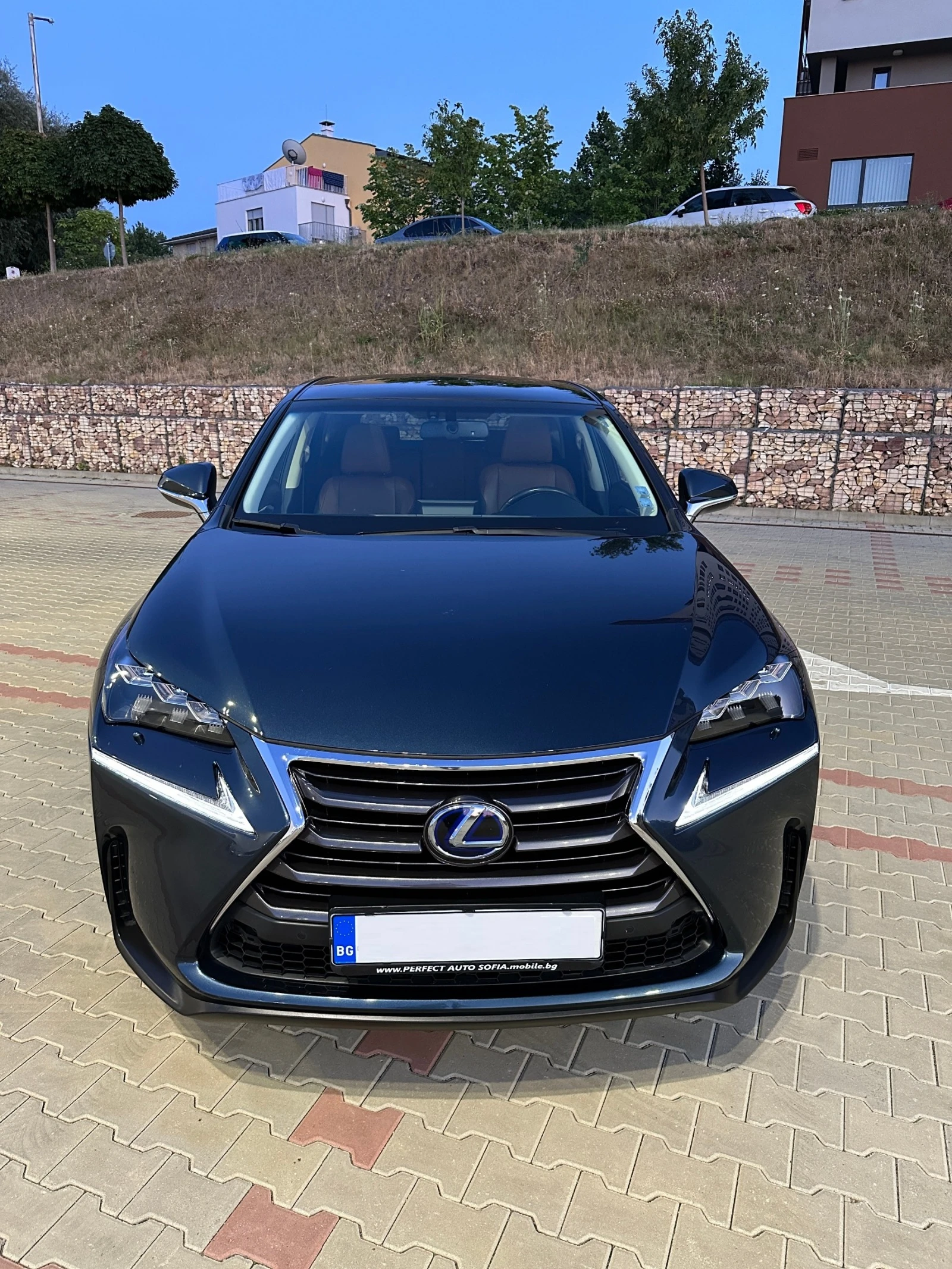 Lexus NX 300h 2.5 LUXURY HYBRID4X4 - изображение 2