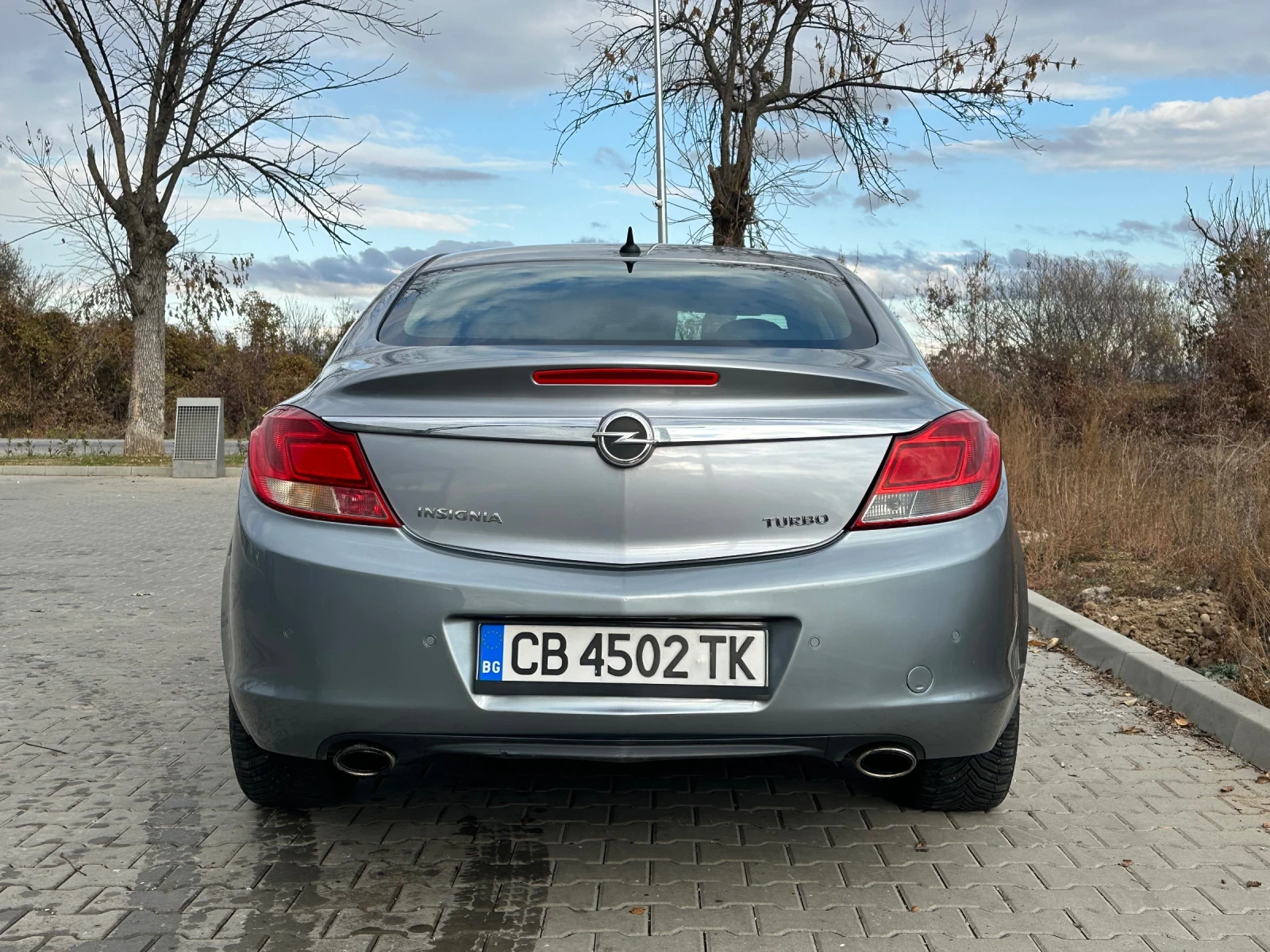 Opel Insignia 2.0t 220hp - изображение 4