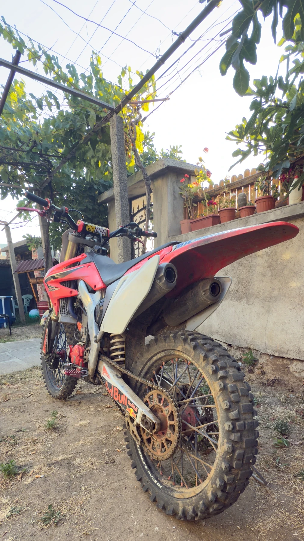 Honda Crf  - изображение 4