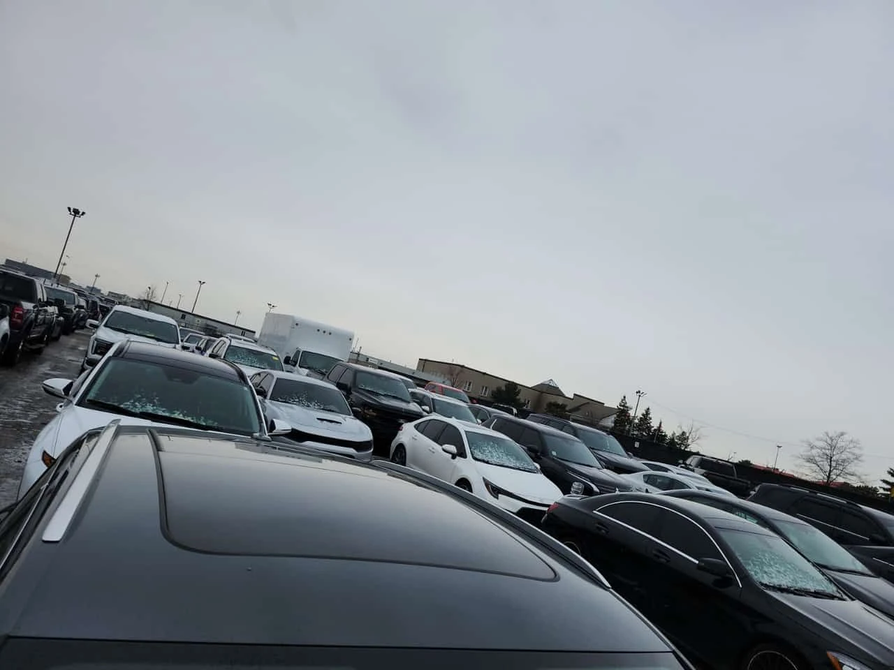 Audi Q5 Technik /Панорама/Подгрев/Памет/Дигитален КМ , снимка 14 - Автомобили и джипове - 53728783