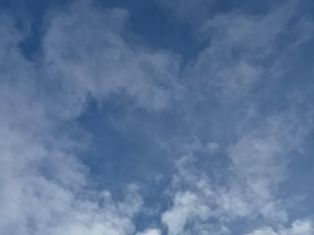 Toyota Tundra * SR5 CREW CAB * CARFAX * ����������� | Mobile.bg � ����������� 14