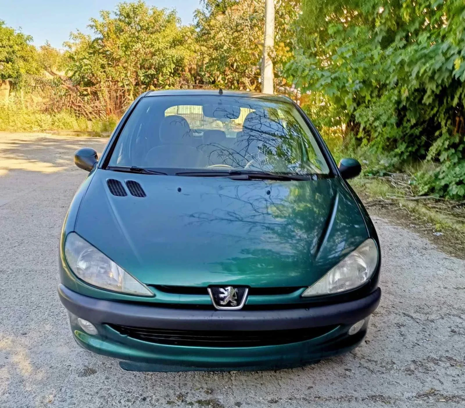 Peugeot 206 Газ-бензин