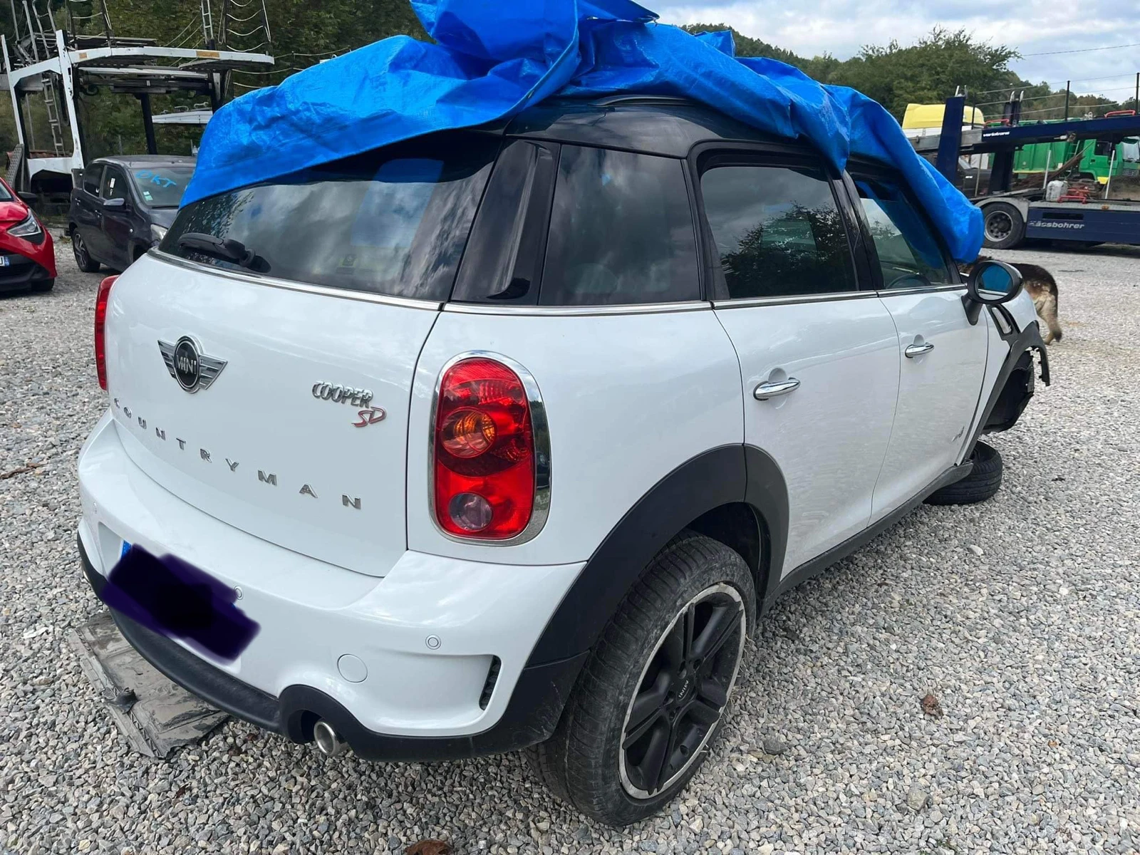 Mini Countryman all4 2.0sd n47t - изображение 2