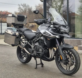  Triumph Tiger