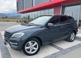  Mercedes-Benz ML 250