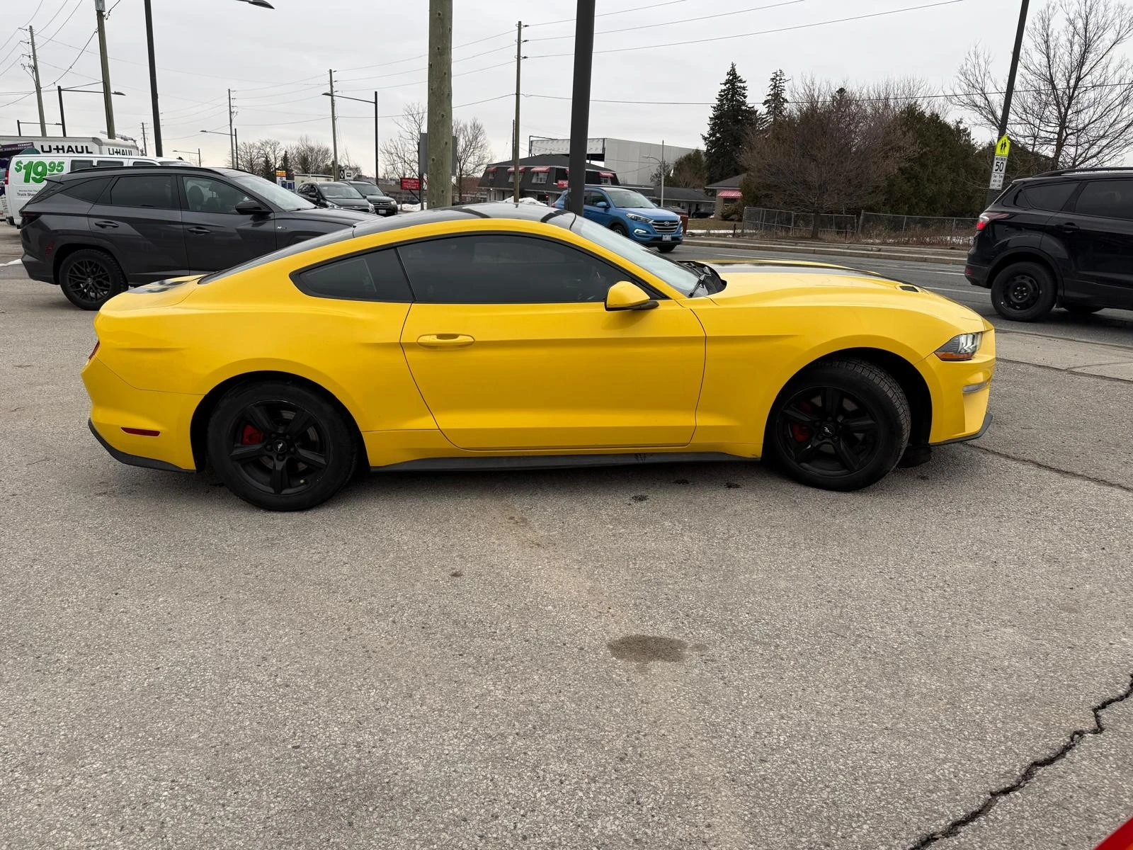 Ford Mustang 2.3L 4cyl RWD | Mobile.bg � ����������� 3