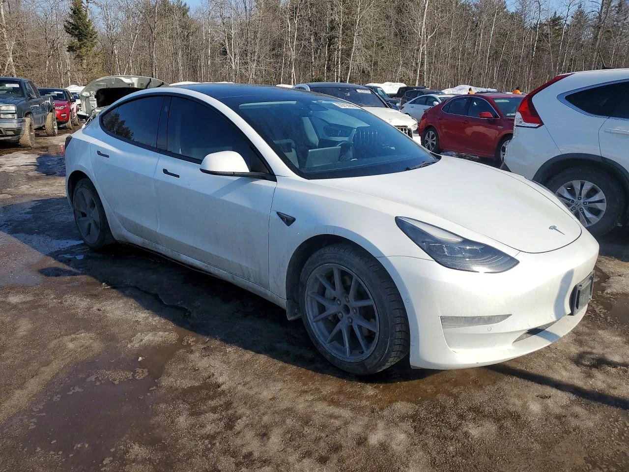 Tesla Model 3 | Mobile.bg � ����������� 3