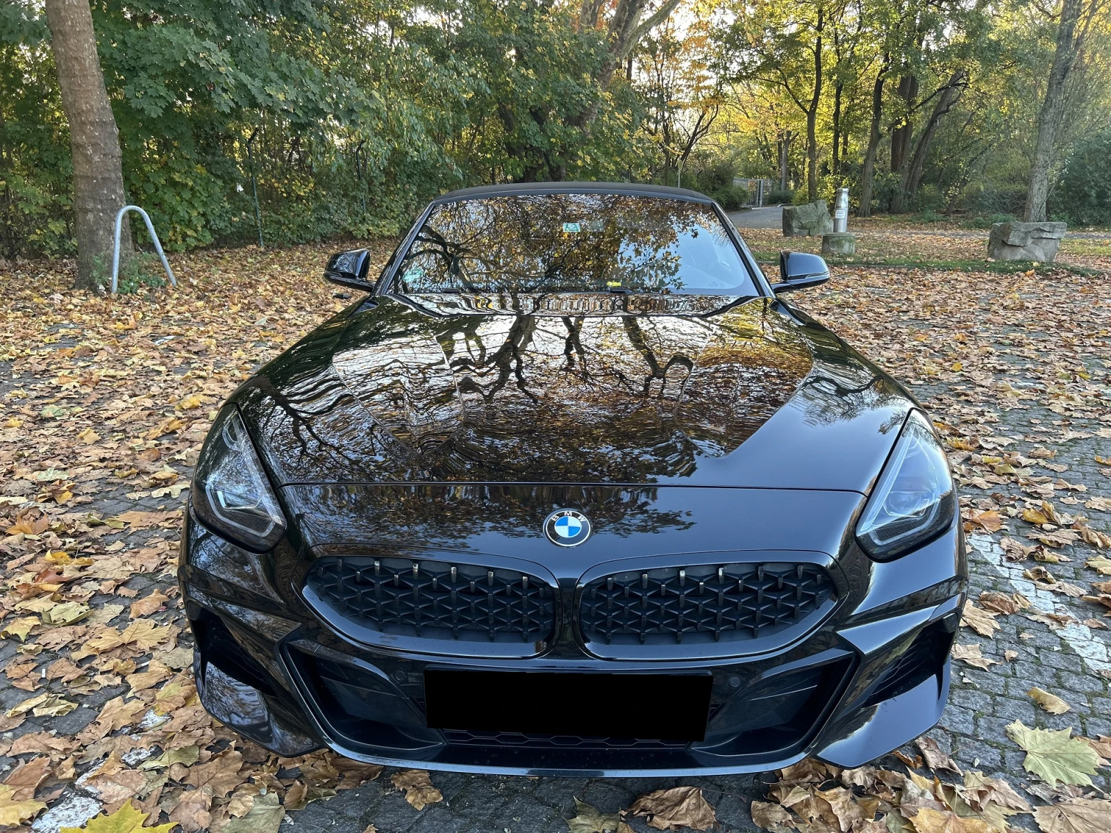 BMW Z4 M - изображение 3