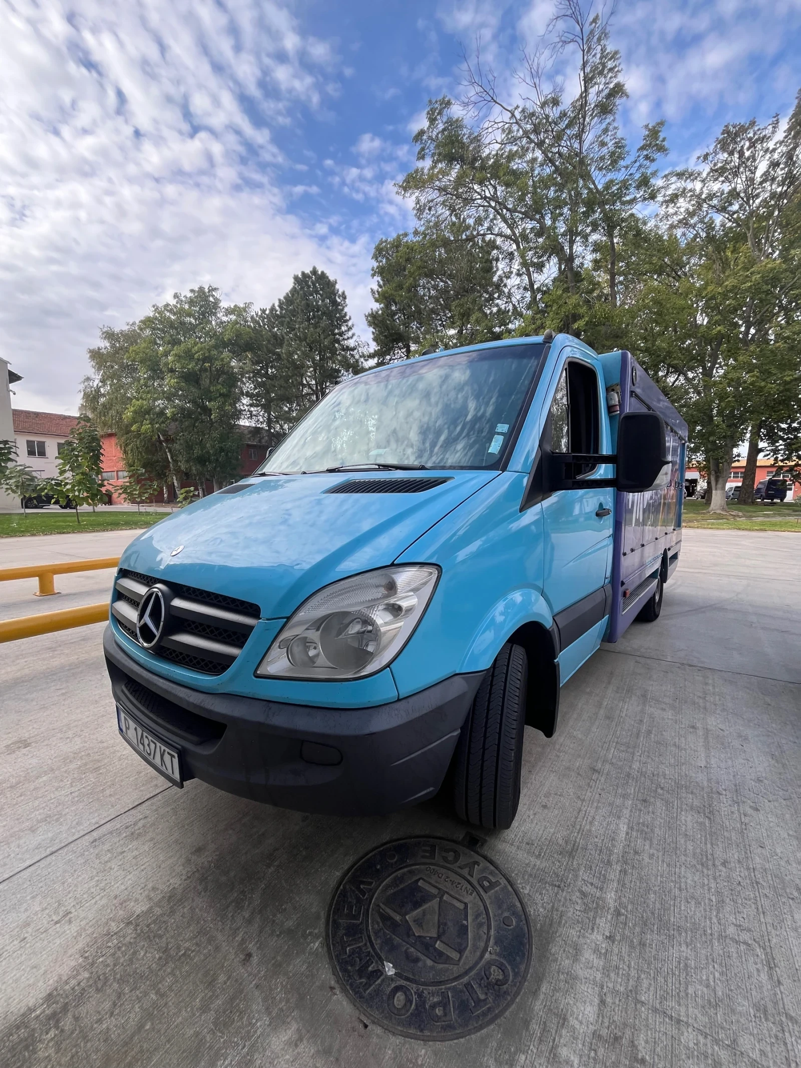 Mercedes-Benz 313  - изображение 2