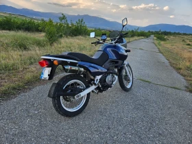 Suzuki XF, снимка 7